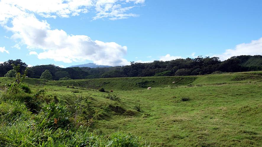 12-to hana-04